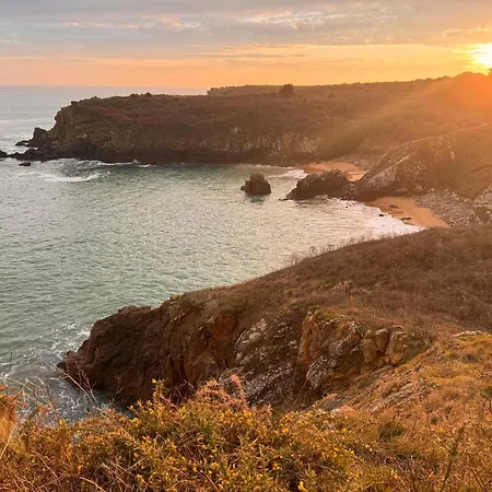Coup De Coeur ! Maisonnette Neuve A 300 M Du Port Et De La بيت للعطل Ile d'Yeu