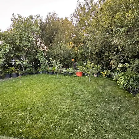 Coup De Coeur ! Maisonnette Neuve A 300 M Du Port Et De La * Ile d'Yeu