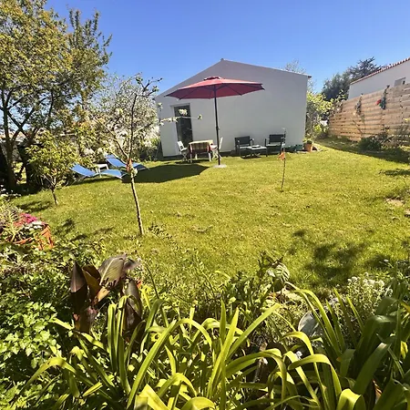 Coup De Coeur ! Maisonnette Neuve A 300 M Du Port Et De La