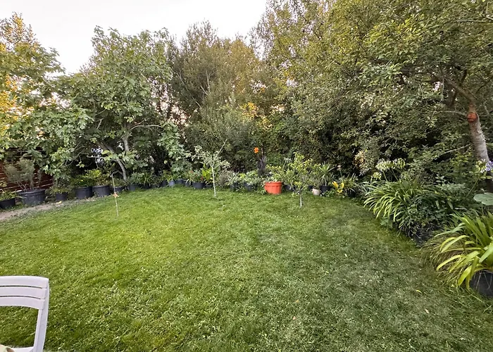 Coup De Coeur ! Maisonnette Neuve A 300 M Du Port Et De La * Ile d'Yeu